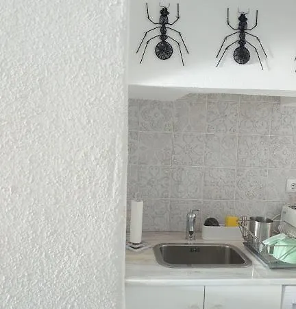 Casas Dona Vitoria Apartamento 4