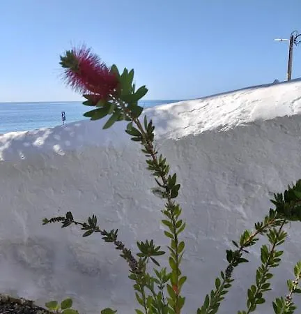 Pensjonat Casas Dona Vitoria Apartamento 4 Burgau